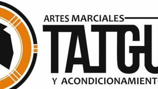 Artes marciales Tatgun