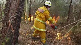 Local crafters unite to help Australian wildlife