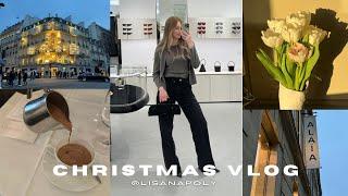 Weekly vlog : christmas tree set up and let's try the new Alaia bag