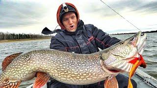 ЩУКИ-КРОКОДИЛЫ, ТОННЫ ЛЕЩА и 200кг ПРИКОРМКИ! ЯМА ПОЛНА РЫБЫ! Siberian fishing