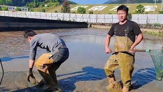 1300 pack an abandoned turtle pond and see how much money you can earn if you catch some big goods.