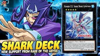 Deck Shark Post Rage of the Abyss  | EDOPRO | Replays  + Decklist ️ #shark #yugioh #rota