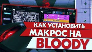 Как установить макросы на мышку Bloody?