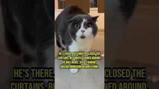 These Cats Witnessed an Unimaginable Horror - Chapter 55 #cat #creepy #creepypasta #creepystories