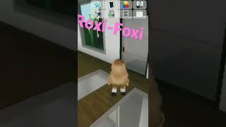 Roxi-Foxi