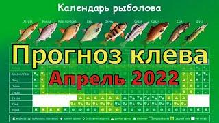 Календарь рыбака на Апрель / Прогноз клева рыбы на Апрель / Лунный календарь рыболова Апрель 2022