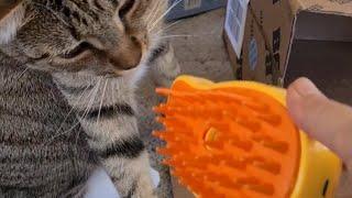 Электрическая щетка для кошачьей шерсти с распылителем 3в1 с Aliexpress/Electric cat hair brush/