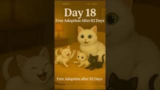 DAY-18Free ADOPTION after 100 days.. read full description. #newbornkitten #persiancats