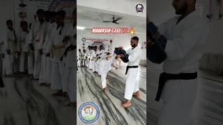 Mawashi Geri Kick Practice  DBASKA #karate #kick #practice #trending #shorts #nagpur