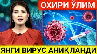 ДАВОСИ ЙЎҚ ВИРУС АНИҚЛАНДИ.  ОЛИМЛАР ХАЙРОН.  БУТУН ЖАҲОН ХАВФ ОСТИДА...