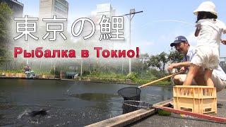 РЫБАЛКА В ЯПОНИИ, херабуна в центре ТОКИО | HERABUNA fishing in Tokyo, Japan!