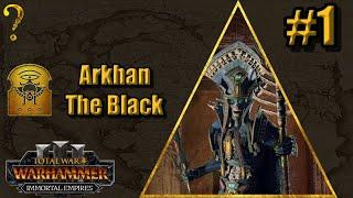 Arkhan: Immortal Empires - Total War Warhammer 3 #1