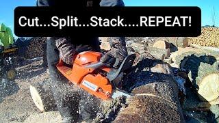 CUTTING, SPLITTING, AND STACKING FIREWOOD