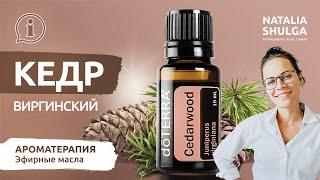 NEW! КЕДР - эфирное масло | Свойства, применение, терапия, отзывы | Ароматерапевт Наталья Шульга