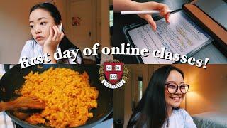 first day of online classes: harvard sophomore vlog! || pre-med neuroscience 