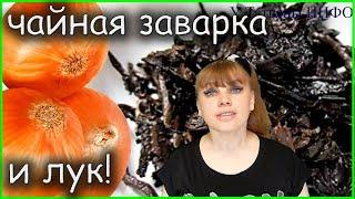 Какая связь между ЛУКОМ и чайной ЗАВАРКОЙ?!