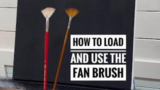 How To Use The FAN BRUSH The Right Way!