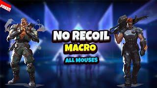 Valorant NO Recoil Macros / ALL MOUSES / TUTORIAL(2024)