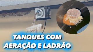 Novas estruturas do criatório AquaHobby