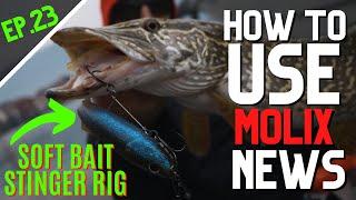 HOW TO USE | MOLIX NEWS - EP.23 | SOFT BAIT STINGER RIG