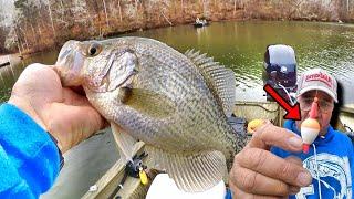 This Slip Bobber & Live Minnow Setup Catches Giant Crappie!