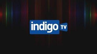 Indigo TV