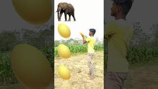 yellow Egg To Elephant, Bear, Rabbit & Cat - Funny vfx new magic video #shots