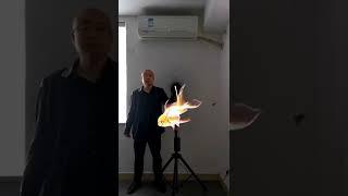 Goldfish @shaza_dmalik | Falcon Aquarium Services