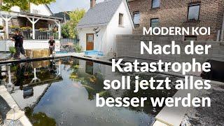 Marcs nagelneuer 40.000 l Genesisteich | Modern Koi Blog #6895