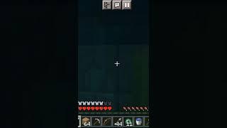 Minecraft Rarest Moments