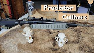 Best Caliber for Predator hunting, Coyote, Bobcat and fox.