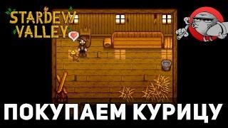 Stardew Valley #15 - Покупаем курицу