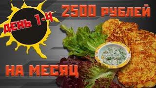 Выживаю месяц на 2500 рублей. День 1-4.