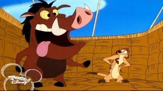 Timon & Pumbaa Season 1x56 -  It Runs Good - Hot Air Buffoons Full Episode