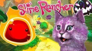 ФЕРМА СЛИЗНЕЙ #19 НАШЛА ОГНЕННЫХ СЛАЙМОВ SLIME RANCHER