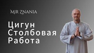 Алексей Евтеев:  Цигун, Столбовая работа