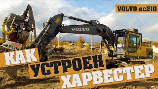 Как устроен харвестер? На примере VOLVO EC210Bf и Logmax 6000