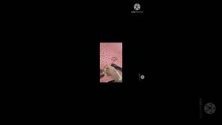How to join electric wire #trending #shorts #tiktok #mustaqeem #realsound