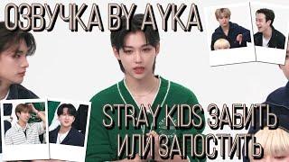 [Русская озвучка by Ayka] Stray Kids у Seventeen | Запостить или забыть?