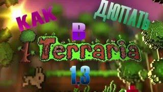 КАК ЛЕГКО ДЮПАТЬ В TERRARIA 1.3