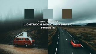 Moody Cinematic - Dark moody lightroom presets tutorial | Free Preset DNG #223