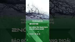 Báo động tình trạng thoái hóa đất nông nghiệp! #shorts