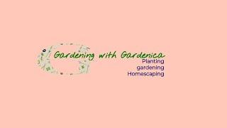 Gardenica at a glance