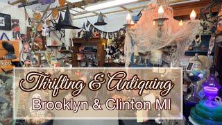 Thrift + Antique Store Shop with ME ! Hunting for Antiques in Brooklyn & Clinton MI