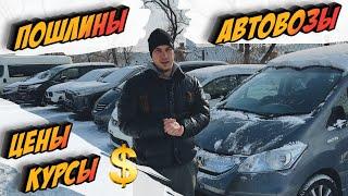 Последний вывоз Авто из Японии 2022 года 