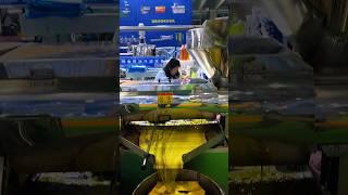Screw oil press machine to press mustard oil in guangzhou exhibition #canolaoil #oilpress #machine
