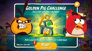 Angry Birds 2 Golden Pig Challenge (18 Feb, 2025)