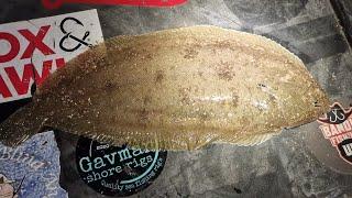 beach fishing for cod and dover sole in Eastbourne sea fishing UK