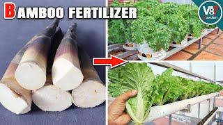 How to Make Organic Liquid Fertilizer from Bamboo Shoots