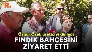 Fındık bahçesini ziyaret eden Özgür Özel, üreticiyi dinledi